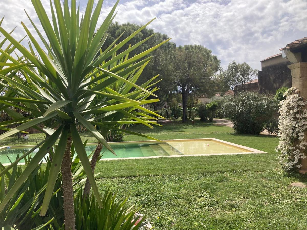 Le Patio, chambres d hôtes pour adultes en Camargue, possibilité de naturisme à la piscine, Aimargues Exterior foto