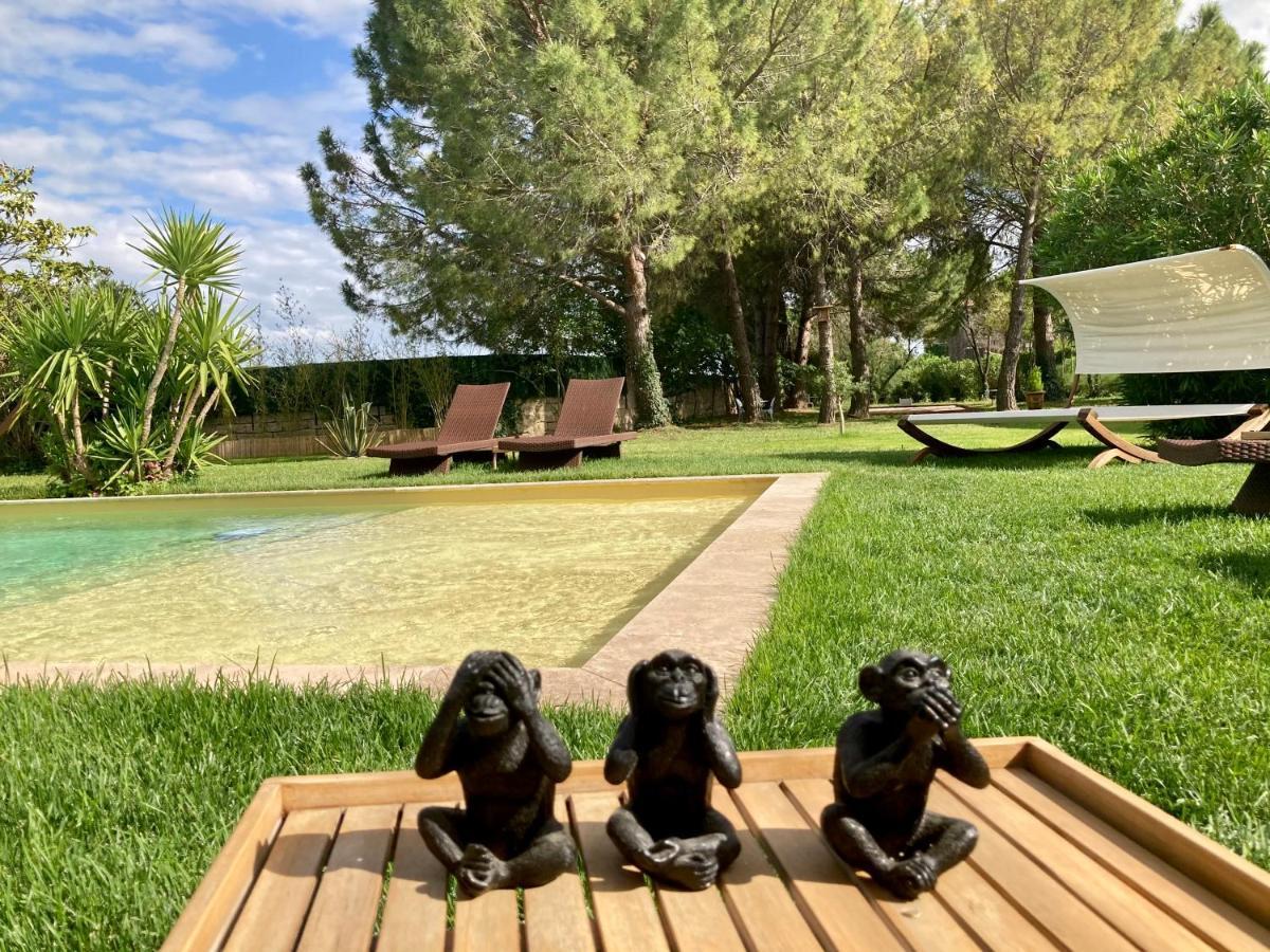 Le Patio, chambres d hôtes pour adultes en Camargue, possibilité de naturisme à la piscine, Aimargues Exterior foto