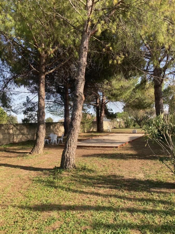 Le Patio, chambres d hôtes pour adultes en Camargue, possibilité de naturisme à la piscine, Aimargues Exterior foto