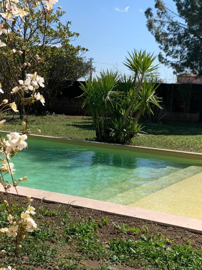 Le Patio, chambres d hôtes pour adultes en Camargue, possibilité de naturisme à la piscine, Aimargues Exterior foto